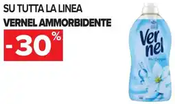 Carrefour Su tutta la linea VERNEL AMMORBIDENTE offerta