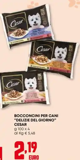 Pam Bocconcini per cani "delizie del giorno" cesar offerta