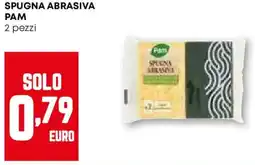 Pam Spugna abrasiva PAM 2 pezzi offerta