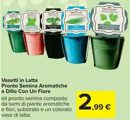 Carrefour Vasetti in Latta Pronto Semina Aromatiche e Dillo Con Un Fiore offerta
