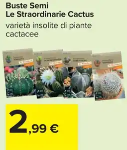 Carrefour Buste Semi Le Straordinarie Cactus offerta