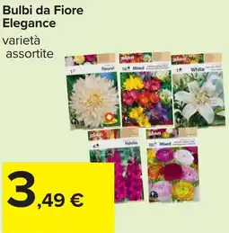 Carrefour Bulbi da Fiore Elegance offerta