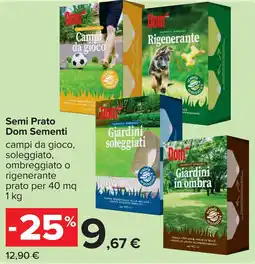 Carrefour Semi Prato Dom Sementi offerta