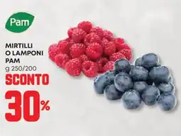 Panorama Mirtilli o lamponi PAM offerta