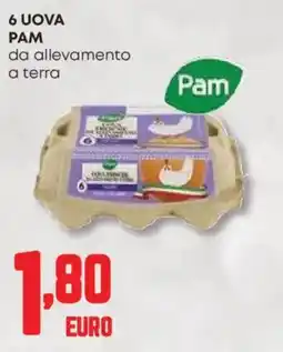 Panorama 6 uova pam da allevamento a terra offerta