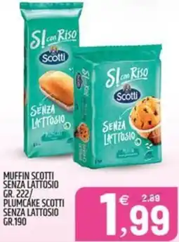 Ard Discount Muffin scotti senza lattosio/ plumcake scotti senza lattosio offerta