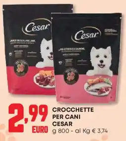 Panorama Crocchette per cani CESAR offerta