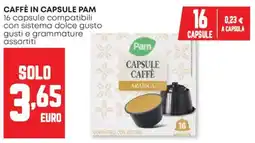 Panorama Caffè in capsule PAM offerta