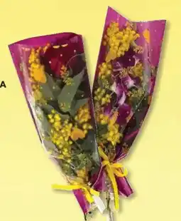 Panorama Bouquet mimosa e rosa o mimosa e orchidea offerta