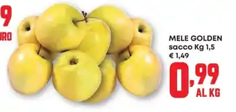 Panorama Mele golden offerta