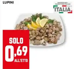 Pam LUPINI offerta