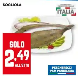 Pam SOGLIOLA offerta