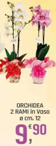 Supermercati Dok Orchidea 2 rami in vaso offerta