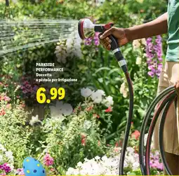 Lidl PARKSIDE PERFORMANCE Doccetta o pistola per irrigazione offerta