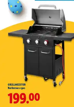 Lidl GRILLMEISTER Barbecue a gas offerta