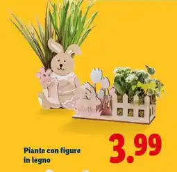 Lidl Piante con figure in legno offerta