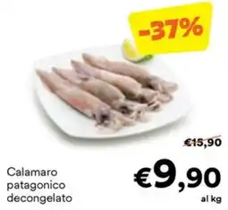 Unes Calamaro patagonico decongelato offerta