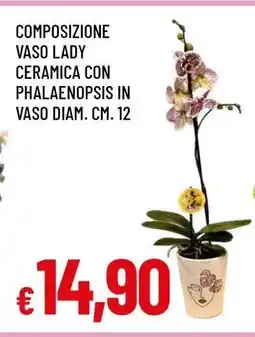 Famila COMPOSIZIONE VASO LADY offerta