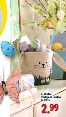 Lidl LIVARNO offerta