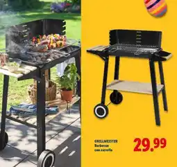 Lidl GRILLMEISTER offerta