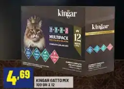 Risparmio Casa Kingar gatto mix offerta