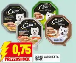 Risparmio Casa Cesar vaschetta offerta