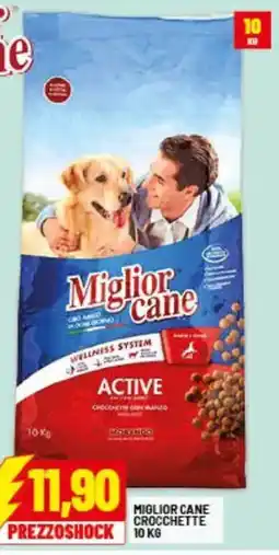 Risparmio Casa Miglior cane crocchette offerta