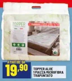 Risparmio Casa Topper aloe 1 piazza microfibra trapuntato offerta