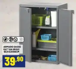 Risparmio Casa Armadio basso rattan grigio offerta