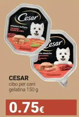 Tigotà CESAR cibo per cani gelatina offerta