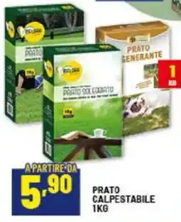 Risparmio Casa Prato calpestabile offerta