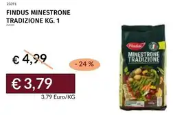 Prezzemolo e Vitale Findus minestrone tradizione offerta