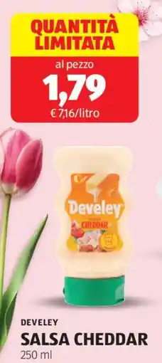 ALDI Develey salsa cheddar offerta