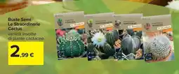 Carrefour Market Buste Semi Le Straordinarie Cactus offerta