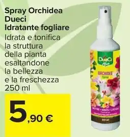 Carrefour Market Spray Orchidea Dueci Idratante fogliare offerta