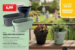 ALDI Belavi vaso per fiori offerta
