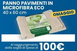 Eurospin Amo essere panno pavimenti in microfibra eco offerta