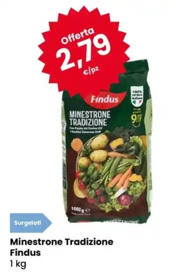 Eurospar Minestrone Tradizione Findus offerta