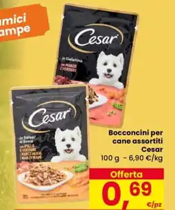 Despar Bocconcini per cane Cesar offerta