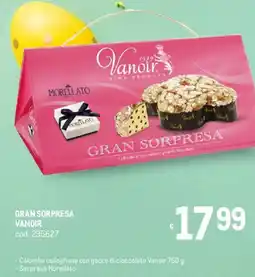 Metro Gran sorpresa VANOIR offerta