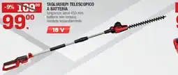 Brico OK Einhell tagliasiepi telescopico a batteria offerta