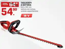 Brico OK Einhell Tagliasiepi a batteria offerta
