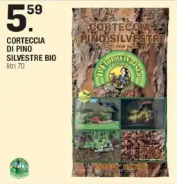 Brico OK Corteccia di pino silvestre bio offerta