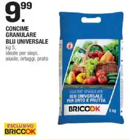 Brico OK BRICOOK Concime granulare blu universale offerta