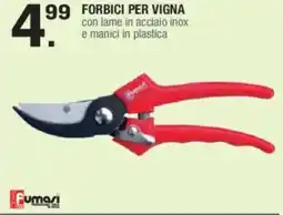 Brico OK Fumasi Forbici per vigna offerta