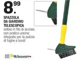 Brico OK Euromarketing spazzola da giardino telescopica offerta