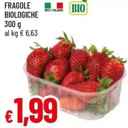 Galassia Fragole biologiche offerta