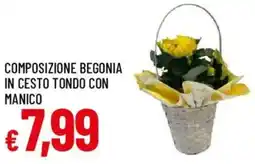 Galassia Composizione begonia in cesto tondo con manico offerta