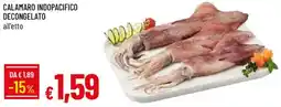Galassia Calamaro indopacifico decongelato offerta