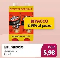 Acqua & Sapone MR MUSCLE offerta
